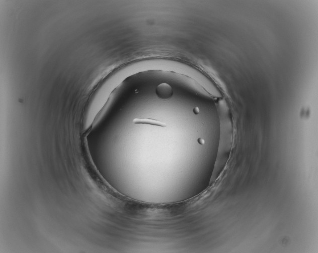 X0000091310154200709071121