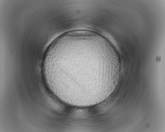 X0000091310155200709071121