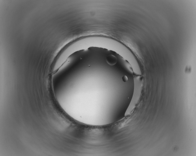 X0000091310156200709071121