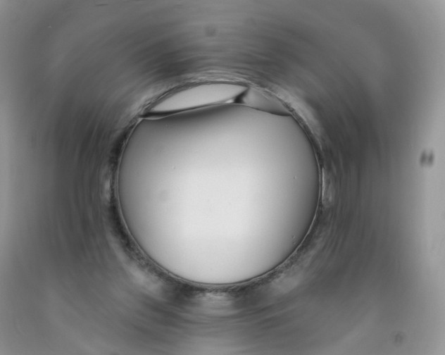 X0000091310157200709071121