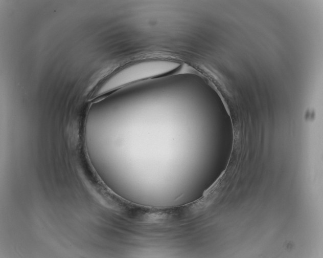 X0000091310158200709071121