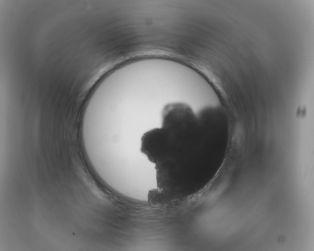 X0000091310159200709071121