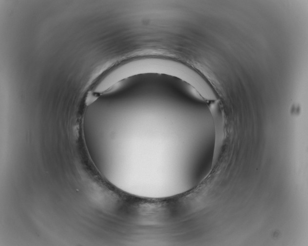 X0000091310160200709071121