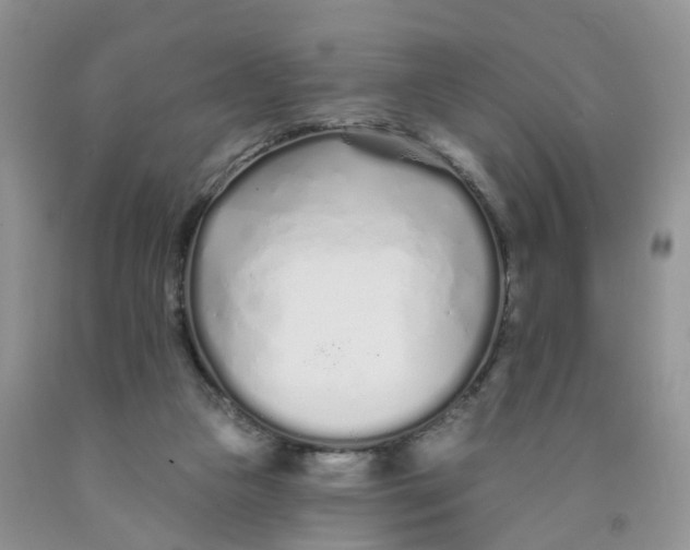 X0000091310161200709071121