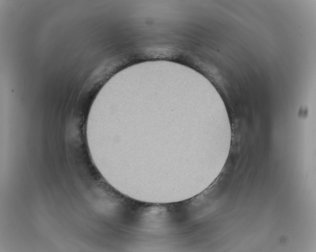 X0000091310162200709071121