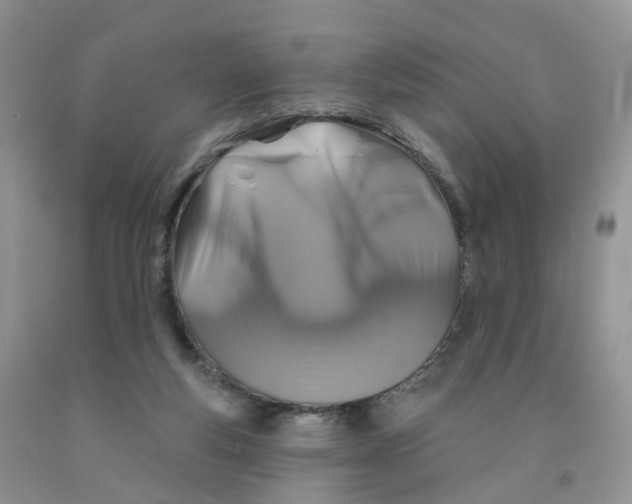 X0000091310163200709071121