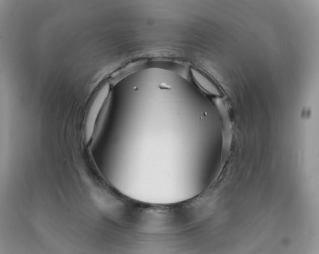 X0000091310164200709071121