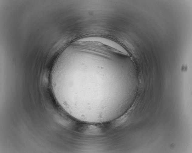 X0000091310166200709071121