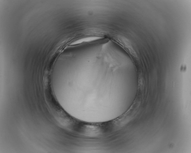 X0000091310167200709071121