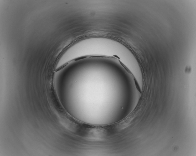 X0000091310168200709071121