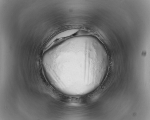 X0000091310169200709071121