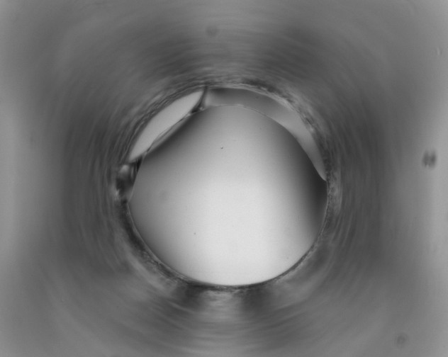 X0000091310170200709071121
