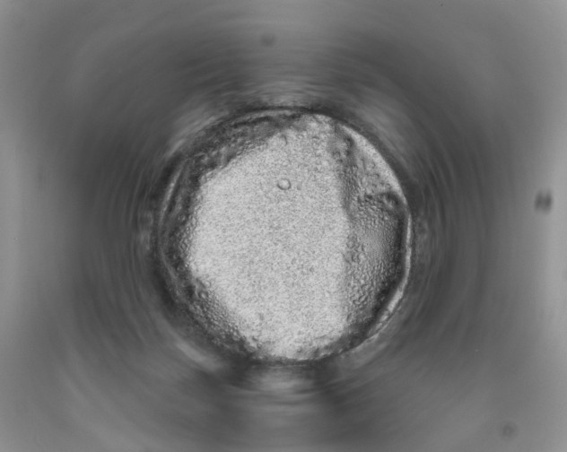 X0000091310171200709071121