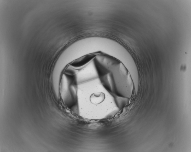 X0000091310172200709071121
