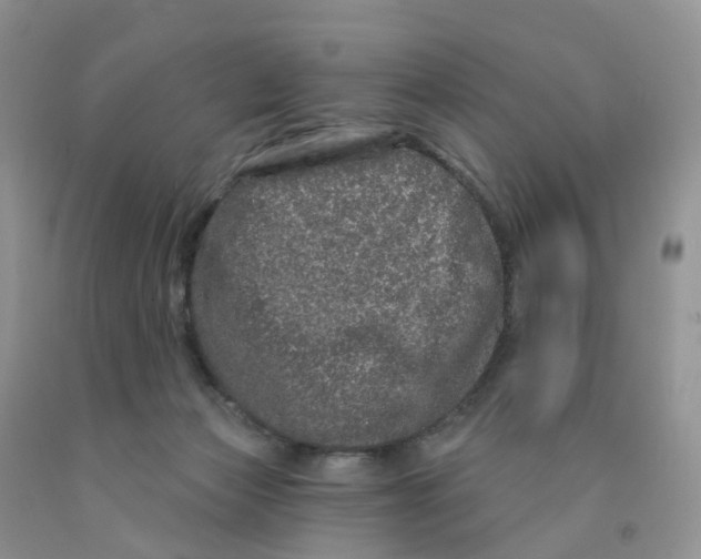 X0000091310173200709071121