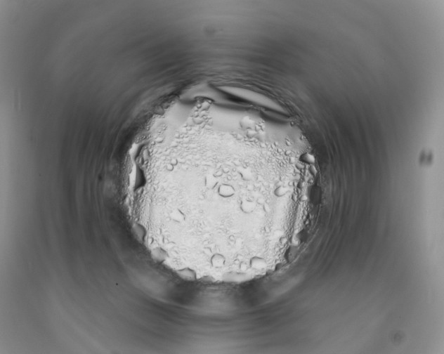 X0000091310175200709071121