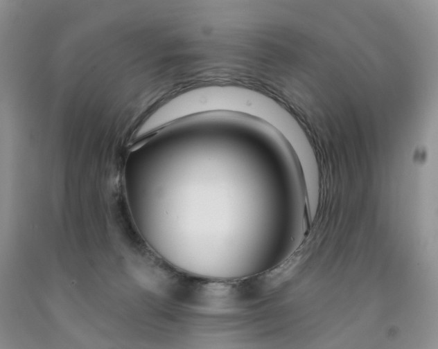 X0000091310176200709071121