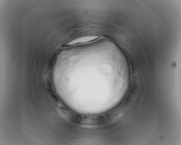 X0000091310177200709071121