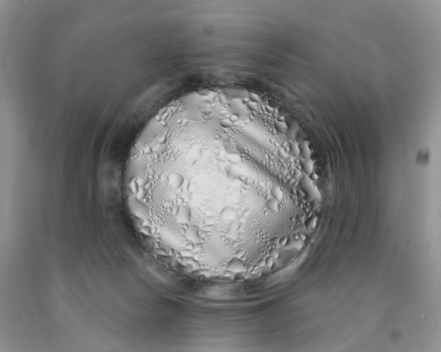 X0000091310178200709071121