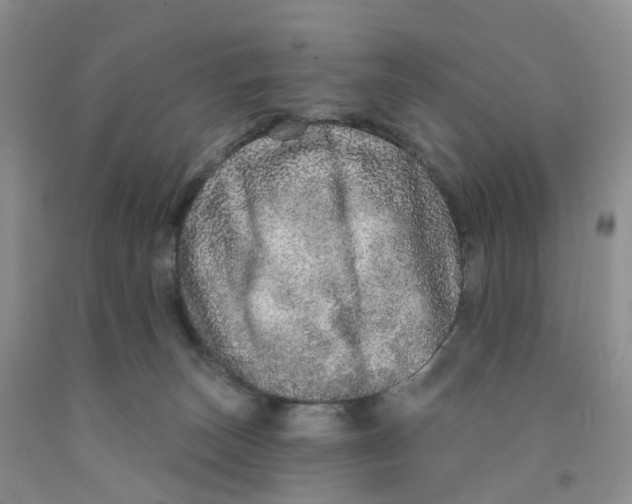 X0000091310179200709071121
