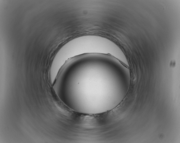 X0000091310180200709071121