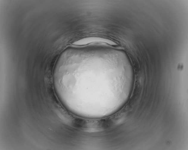 X0000091310181200709071121