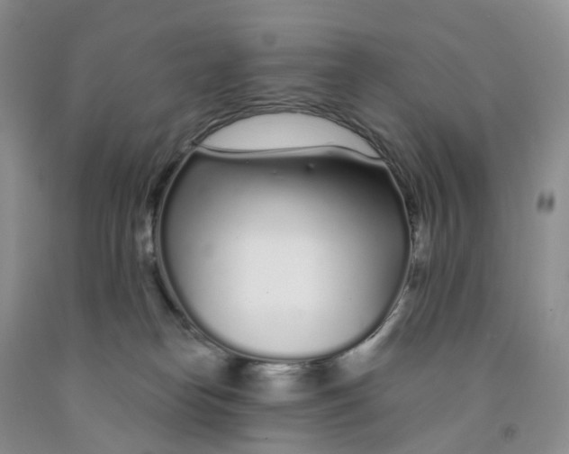 X0000091310182200709071121