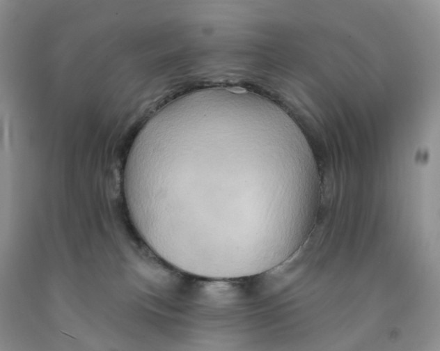 X0000091310183200709071121