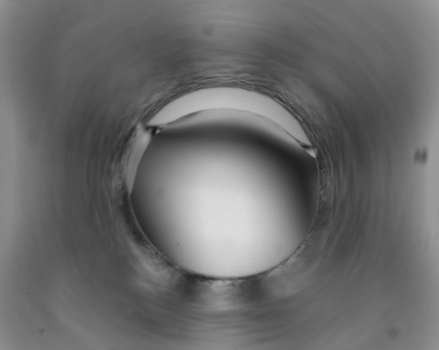 X0000091310184200709071121
