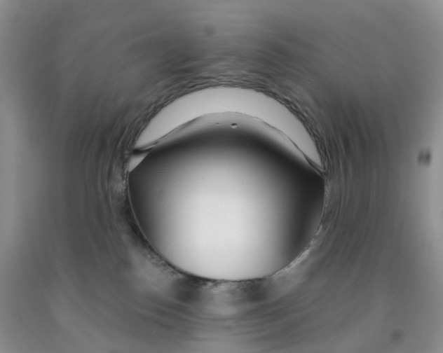X0000091310186200709071122