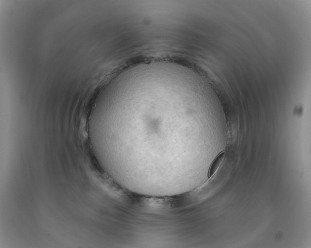 X0000091310187200709071122