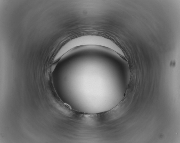 X0000091310188200709071122