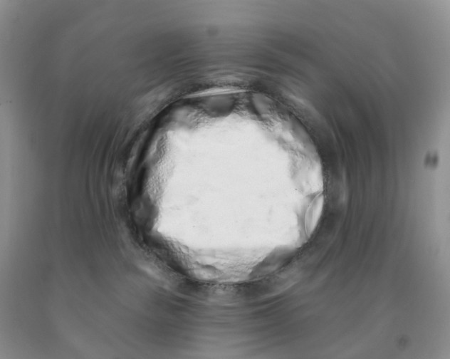 X0000091310189200709071122