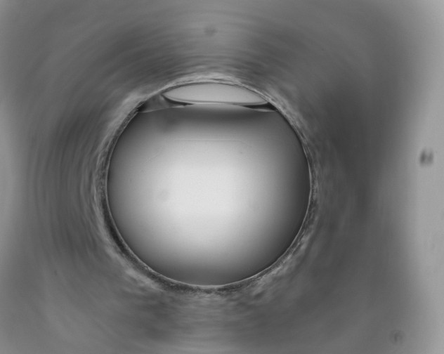 X0000091310193200709071121