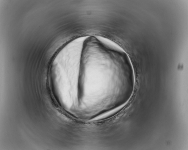 X0000091310194200709071121