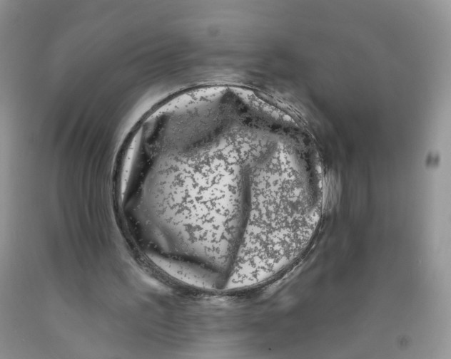 X0000091310195200709071121
