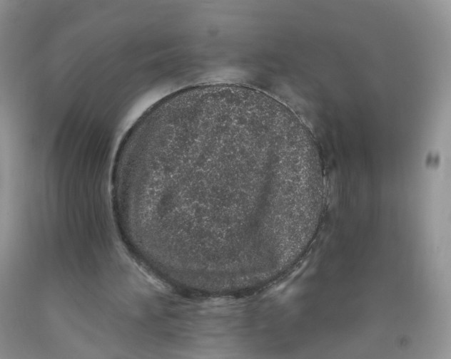X0000091310196200709071121