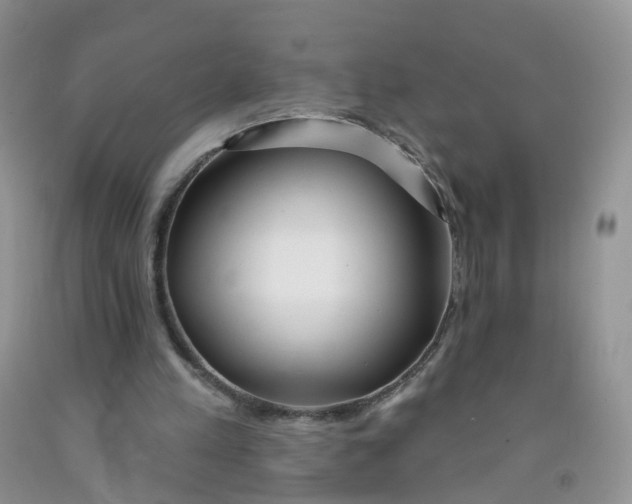 X0000091310197200709071121