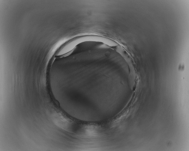 X0000091310200200709071121
