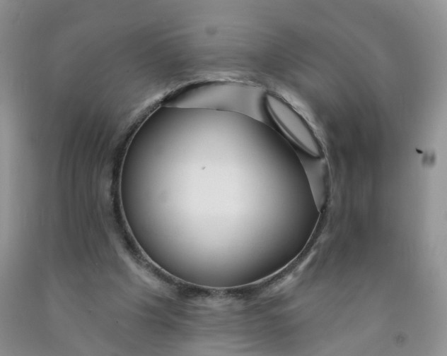 X0000091310201200709071121