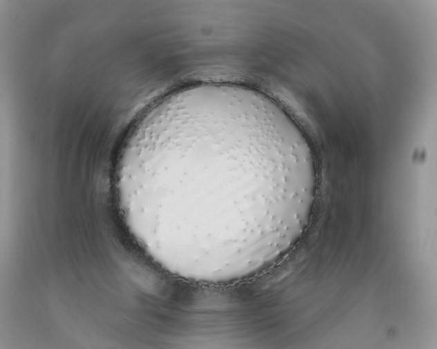 X0000091310202200709071121