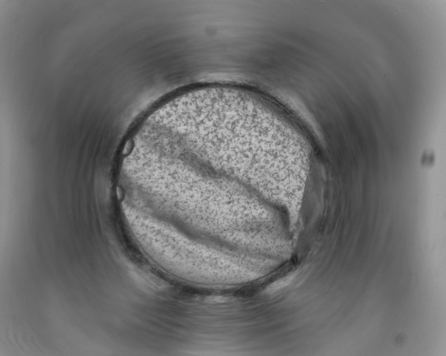 X0000091310204200709071121