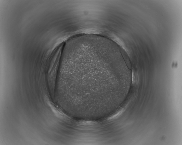 X0000091310205200709071121