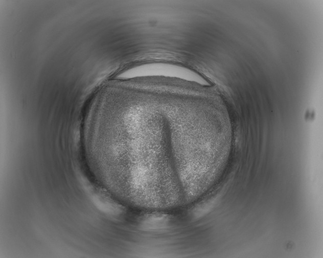 X0000091310206200709071121