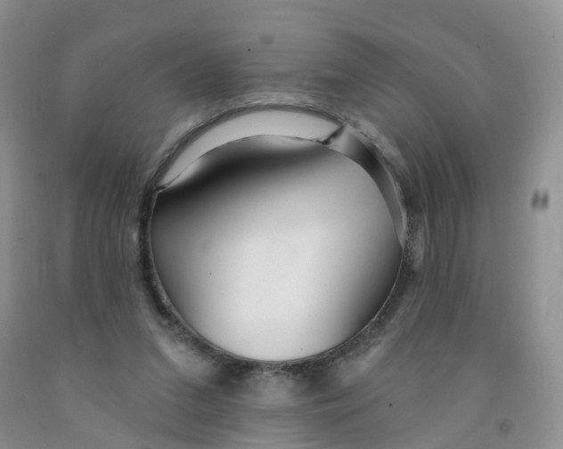 X0000091310207200709071121