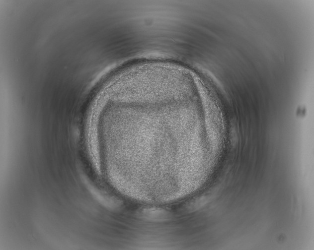 X0000091310208200709071121