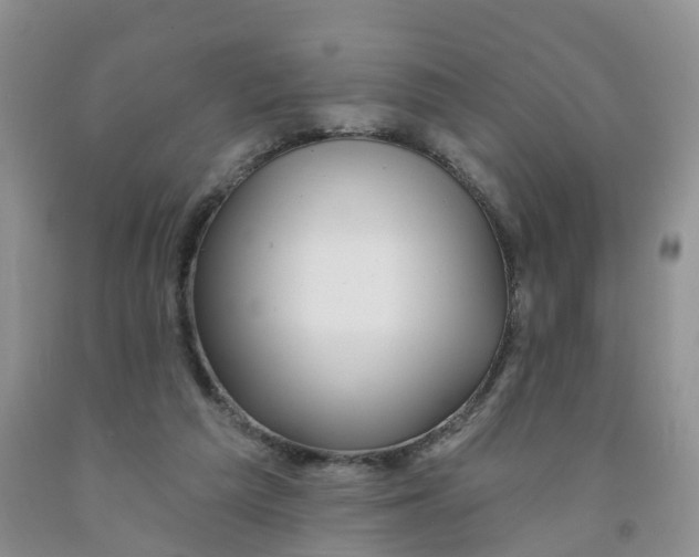 X0000091310209200709071121