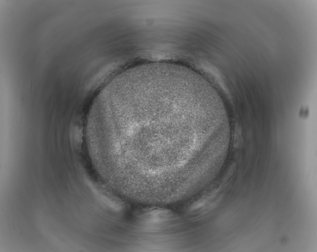 X0000091310210200709071121