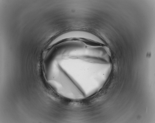X0000091310211200709071121