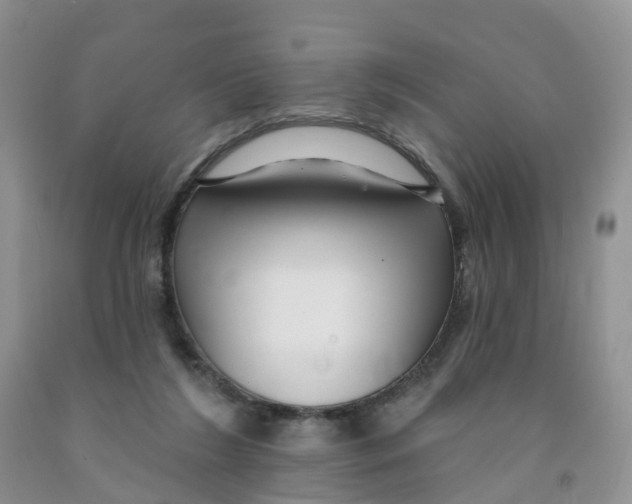 X0000091310212200709071121